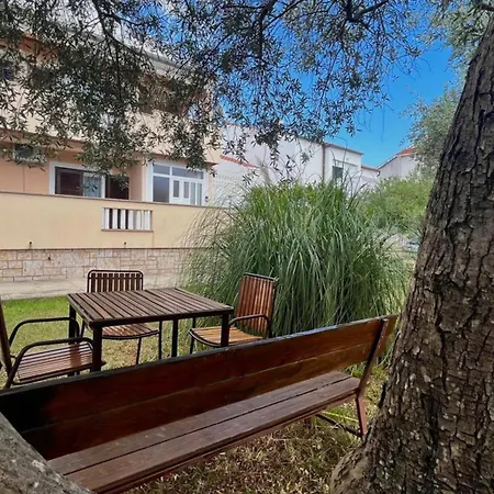 Dalori Comfort * זאדאר