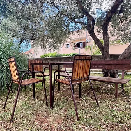 Dalori Comfort זאדאר