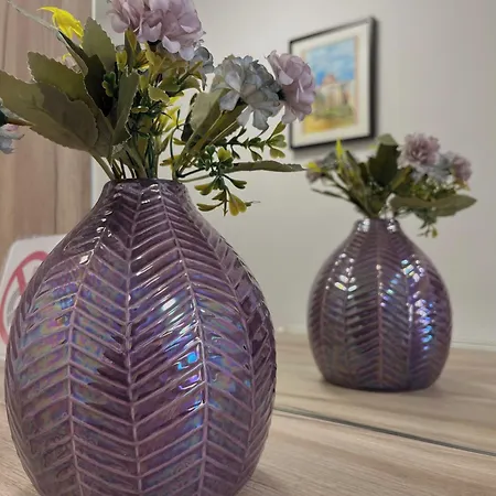 Dalori Comfort Lejlighed Zadar